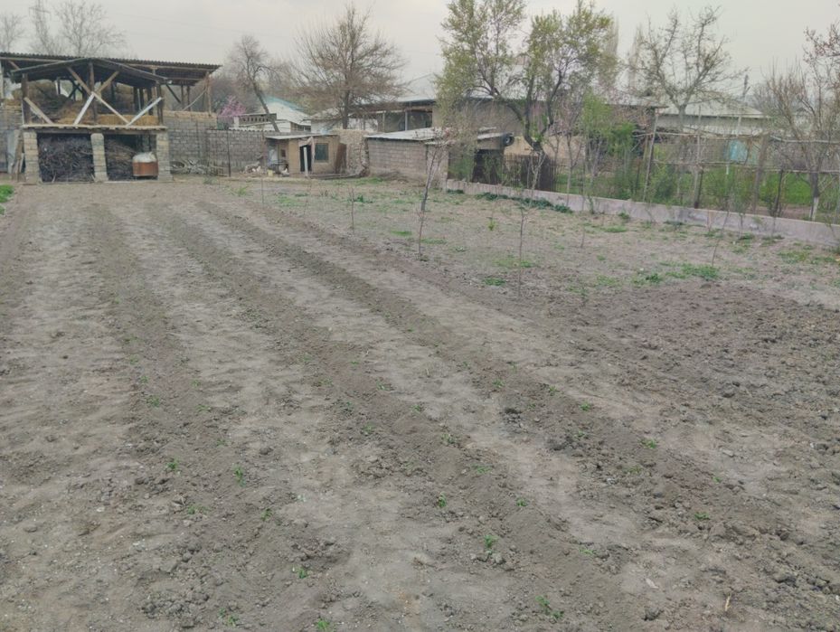 Ховли уй сотилади