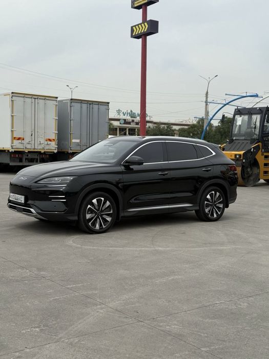 Byd chimpion smart