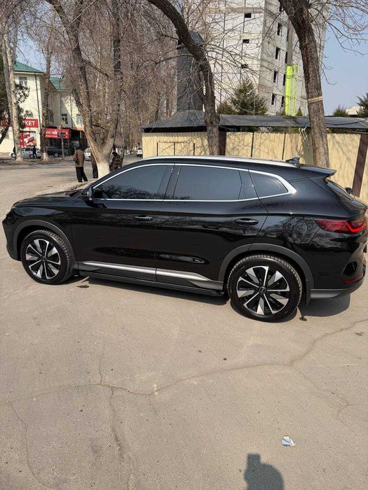 BYD Champion Reystaling