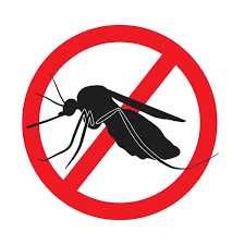 Дезинфекция Дизенфекция Уничтожение клопов таракан dizinfeksiya klapa