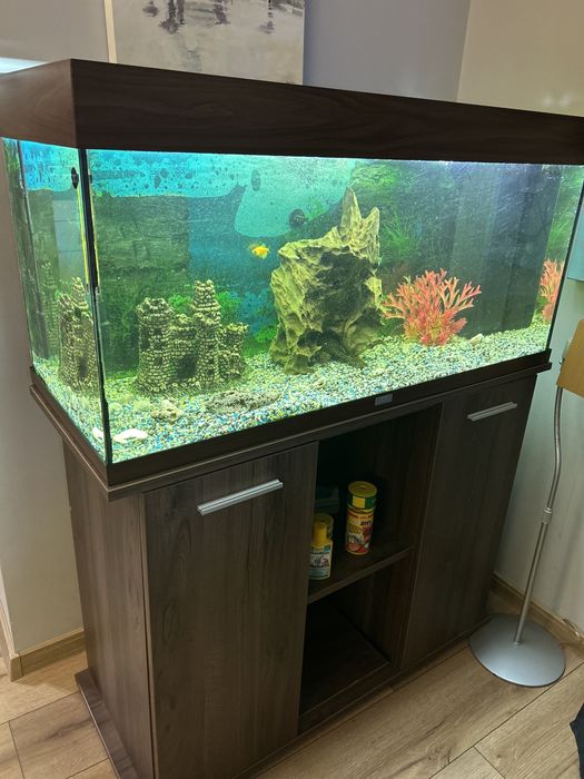 acvariu juwel cu toate accesoriile