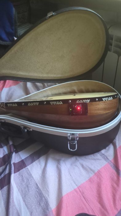 Электрондық кәсіби домбыра