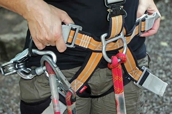 Tăiere copaci alpinist utilitar defrisari curățare evaluare gratuită