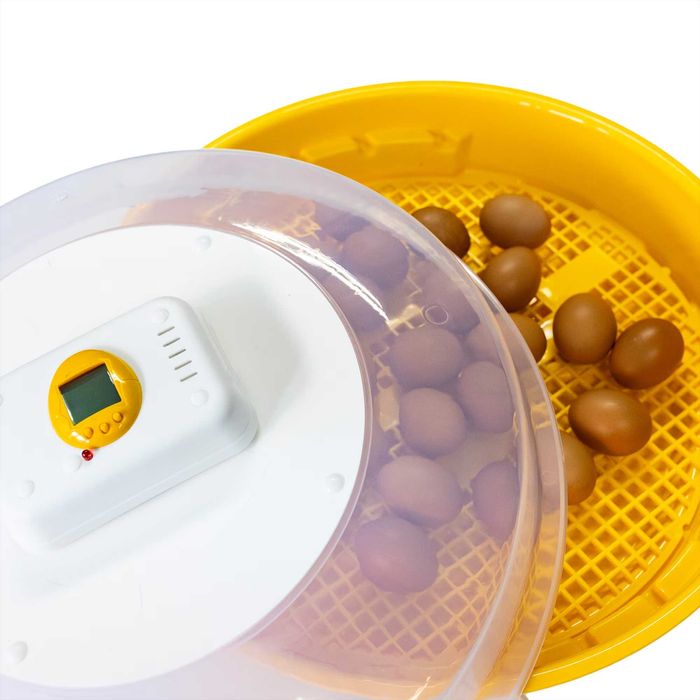 Incubator Clocitoare 70 Oua Pui Gaina Gasca Rata Prepelita Afisaj Temp