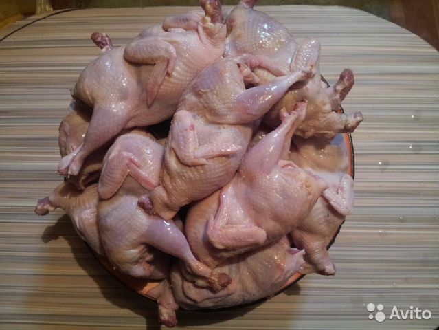 Мясо перепелов фото Мясо перепелов фото