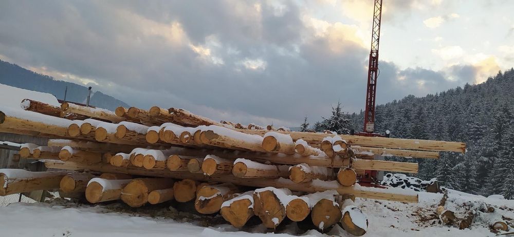 Case,cabane lemn rotund