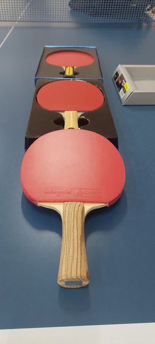 Paleta tenis de masa=Joola,Victas,,Andro,Tibhar
