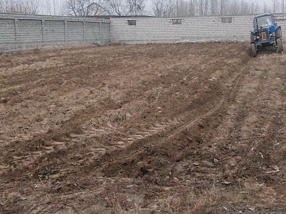 Янгийулда 10 сотих экин ер арендага берилади