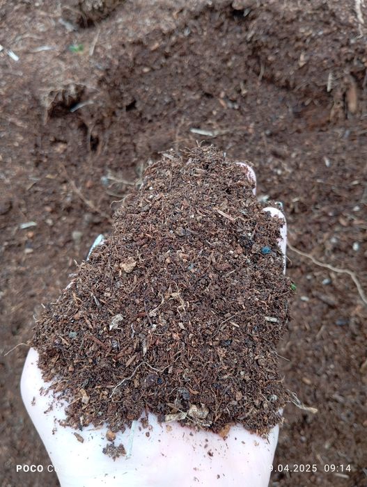 Чернозем, перегной рассыпчатый