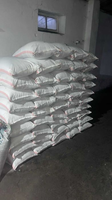 Высококачественные магниченные семена люцерны