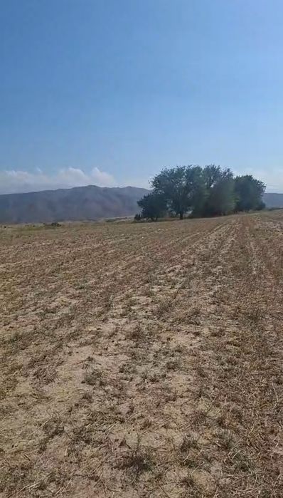 Продам участок в каскелене