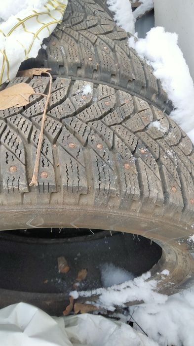 Шина буу наличе тур