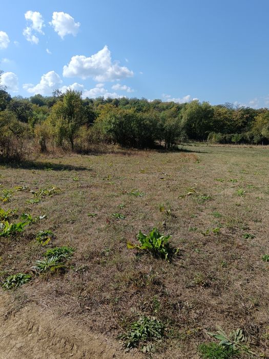 Teren  1000 mp, județul Sibiu, localitatea Amnas, pretabil A frame