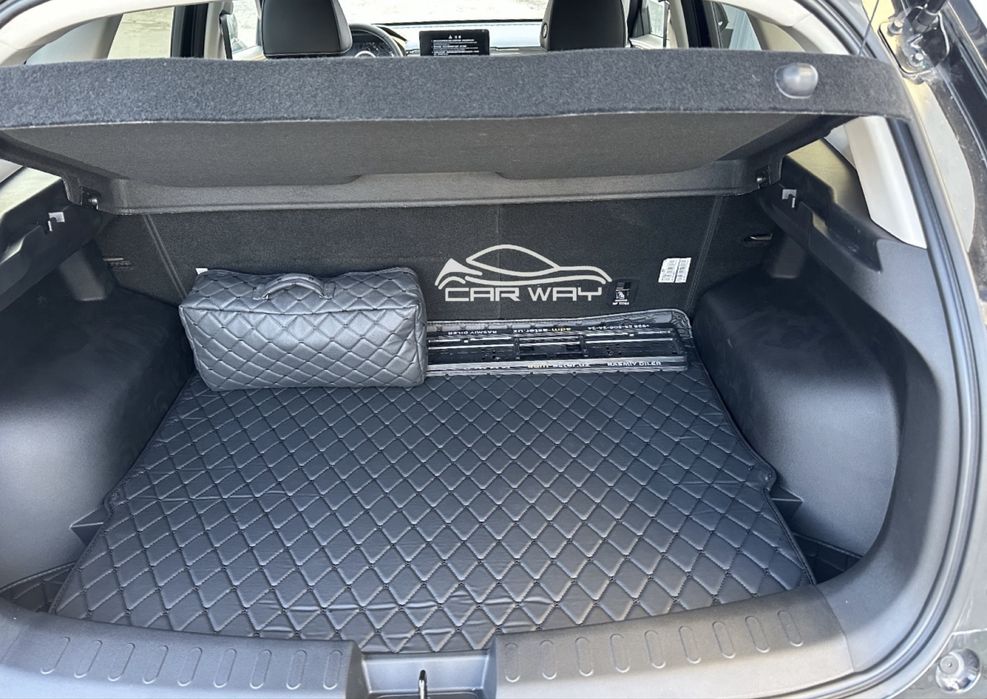 9D polik / коврики для Haval Jolion