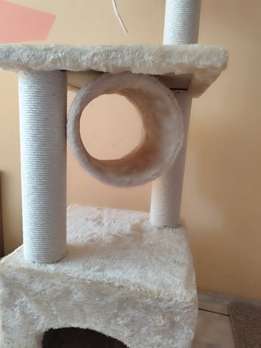 Нова котешка катерушка