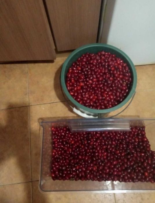 Заморозка Кизил ягоды