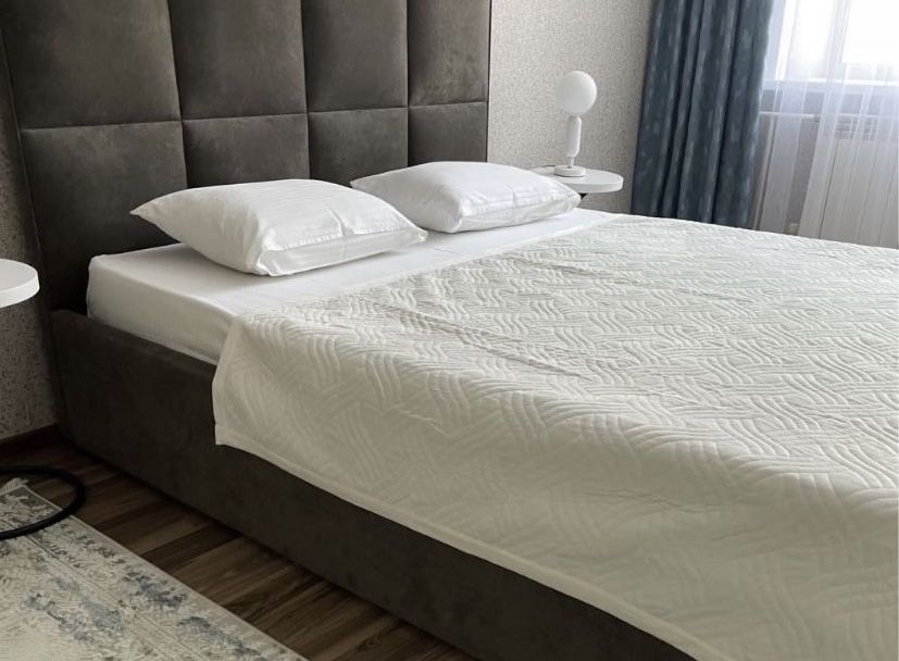 Квартира в Привокзальном в час 2000,2500