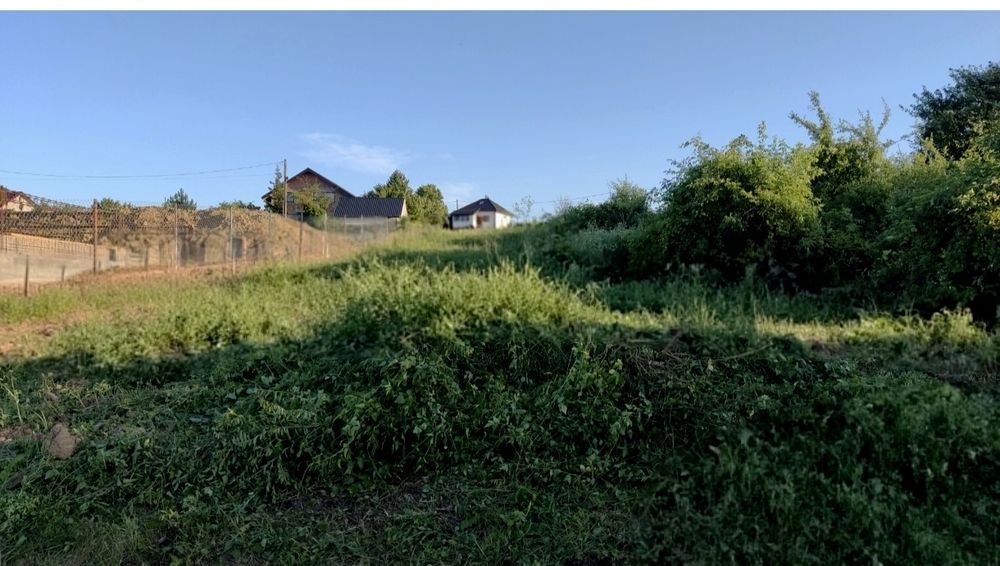 Teren Bârnova, cabana cercu