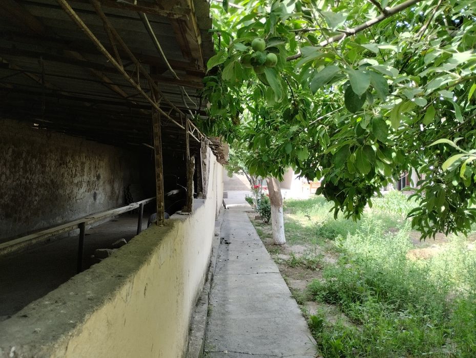 Уй сотилади ,денов туманида,