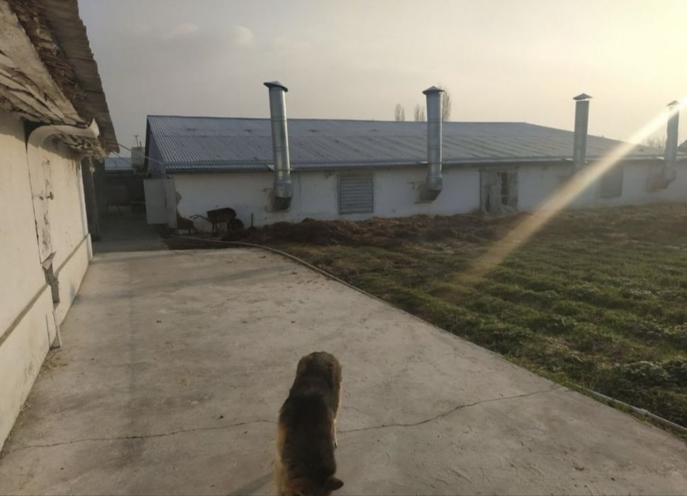 Yer sotiladi 48sotix 21 ta katej uchun