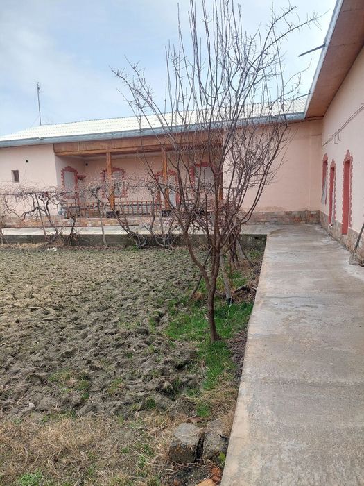 Tayyor kirib yashash uchun hovli