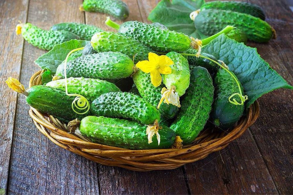Продам домашние огурцы