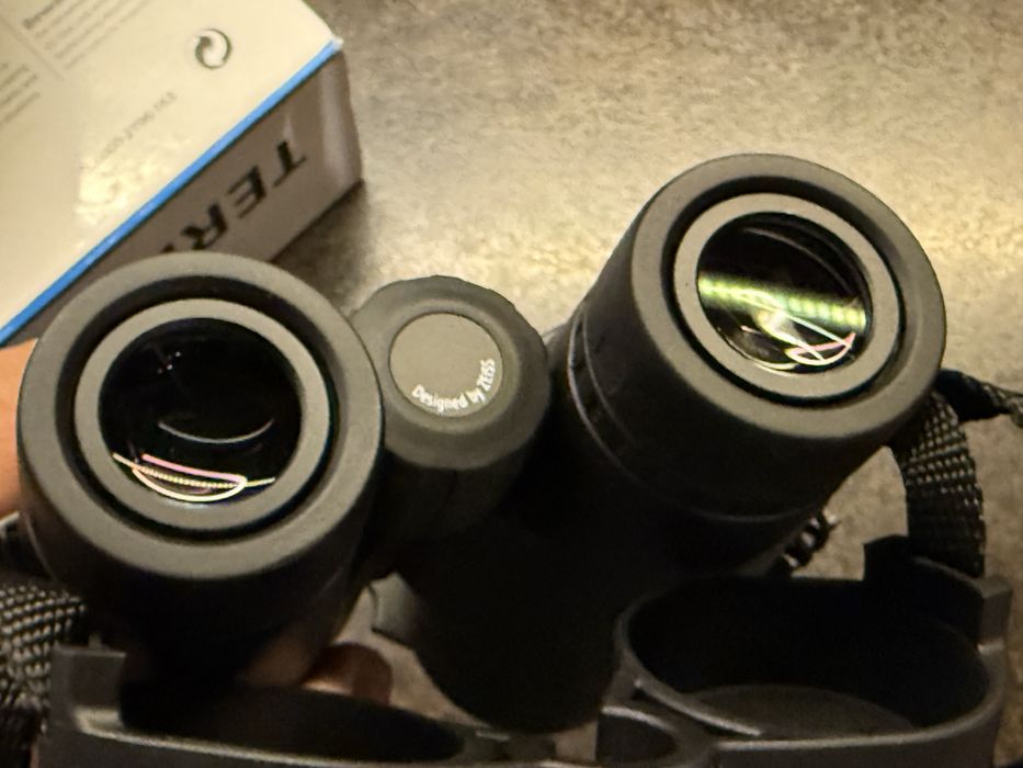 Бинокль Zeiss Terra Ed 8х42
