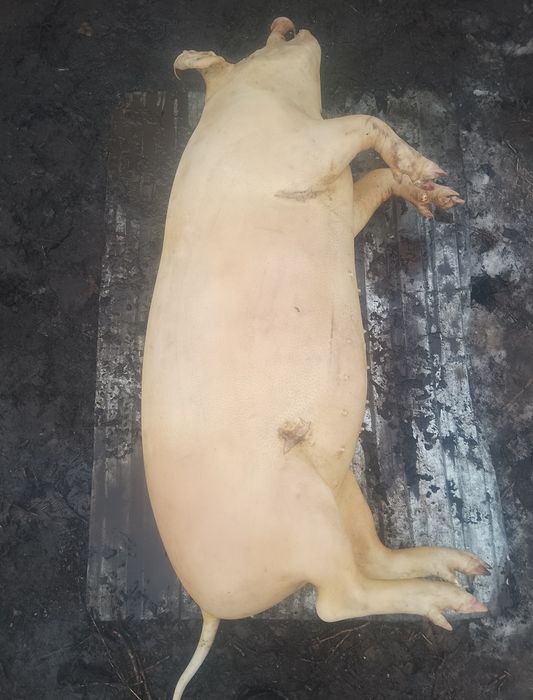 Свинина домашняя