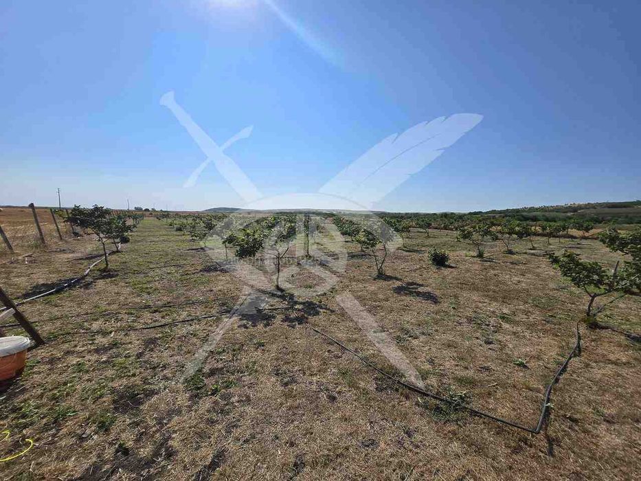 Овощна градина в с.Каменар! 103726