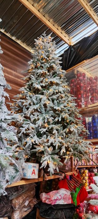 Archalar optim narxlarda