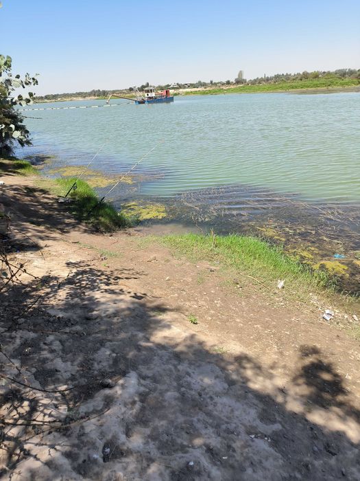 Sirdaryo daryosida Damolish Maskani sot Продается Зона Отдыха Сырдарья