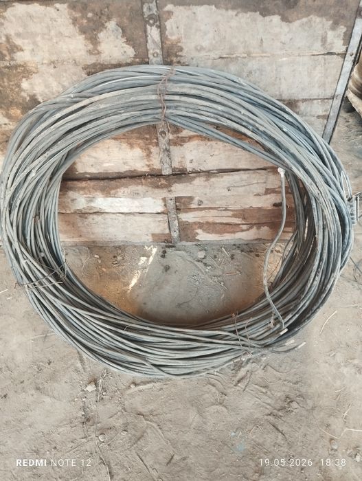 Gulibinni nasozlar Kampilekt sotiladi