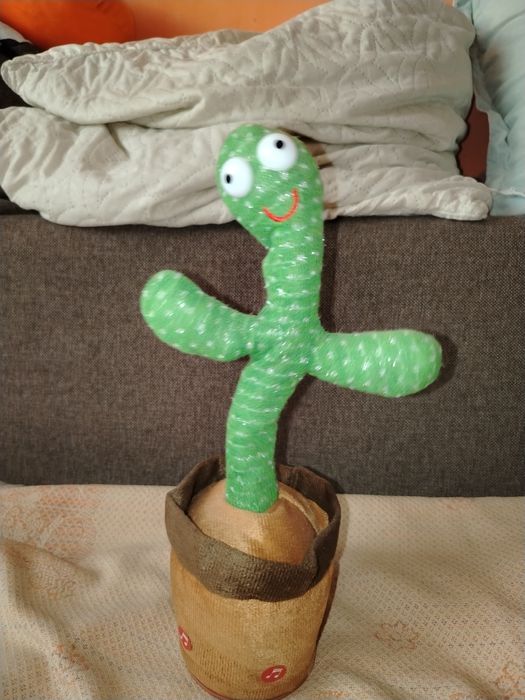 Кактус поющий. Продам.