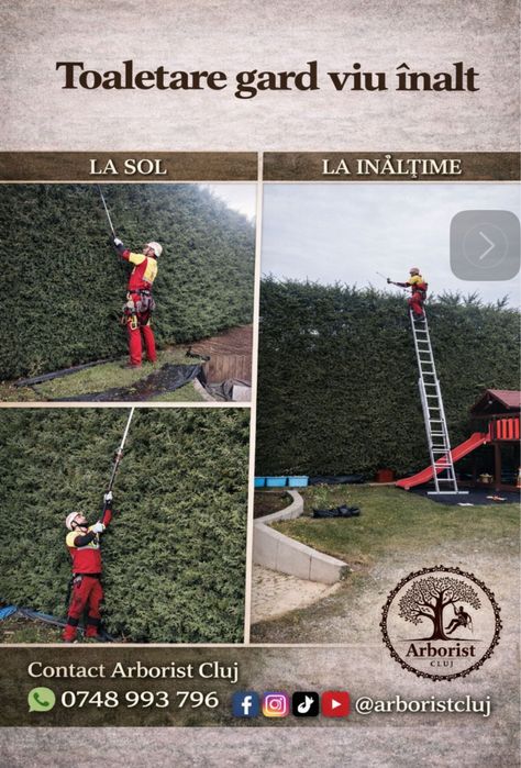 ARBORIST CLUJ – Servicii Profesionale Arboricultura si spatii verzi
