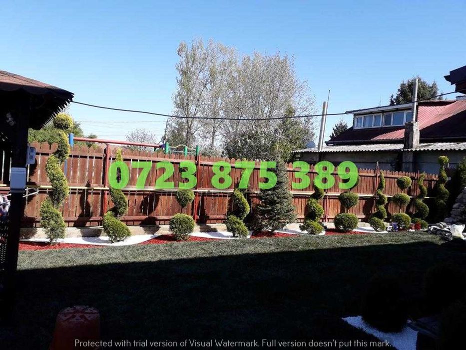 Arbori de Grădină de Calitate – Aspect Vizual de Excepție în Curte