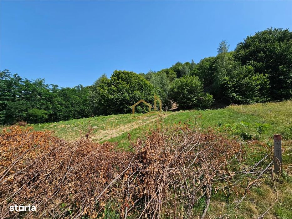 Alzza Real Estate – Teren intravilan de vanzare in Salicea, Cluj – 117