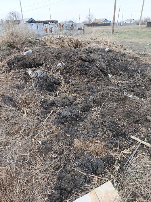 Перегной. Бесплатно. Самовывоз.