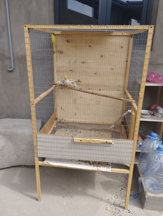 Papugay karella valnistiy