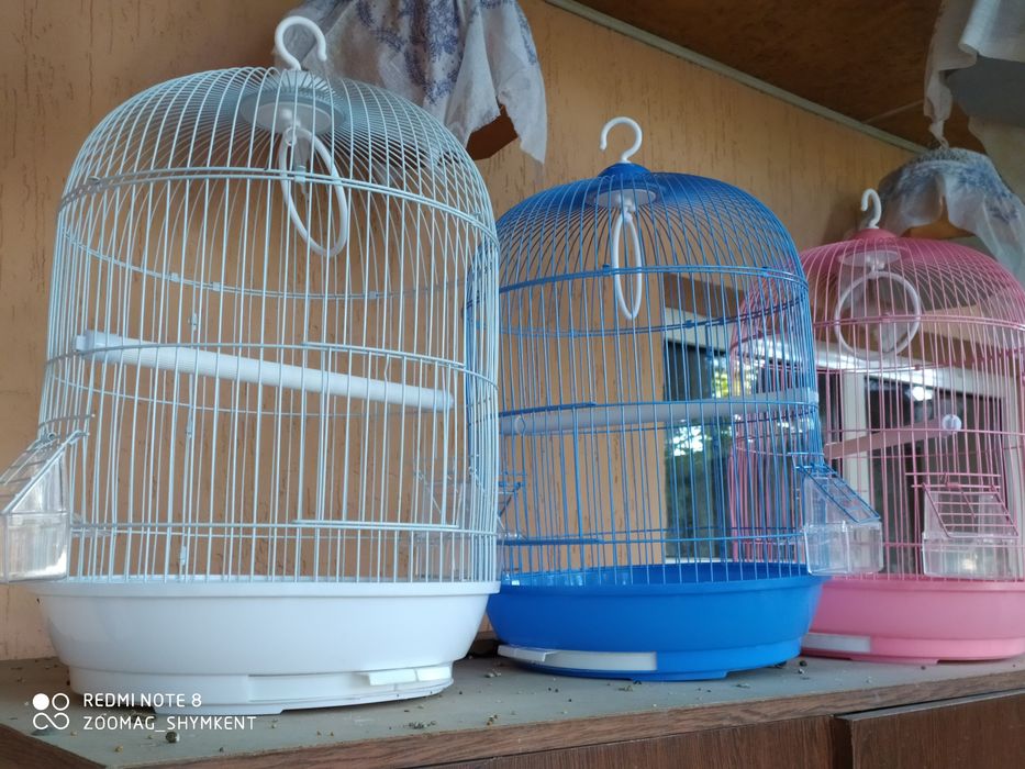 Большой выбор клеток