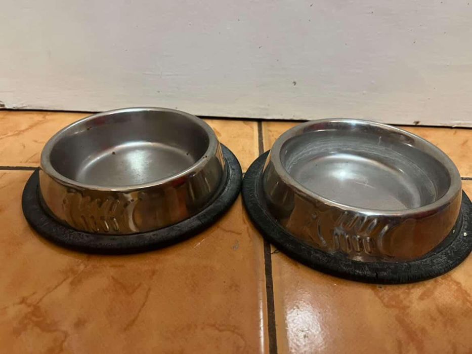 Set complet pentru pisica/pisic  junior