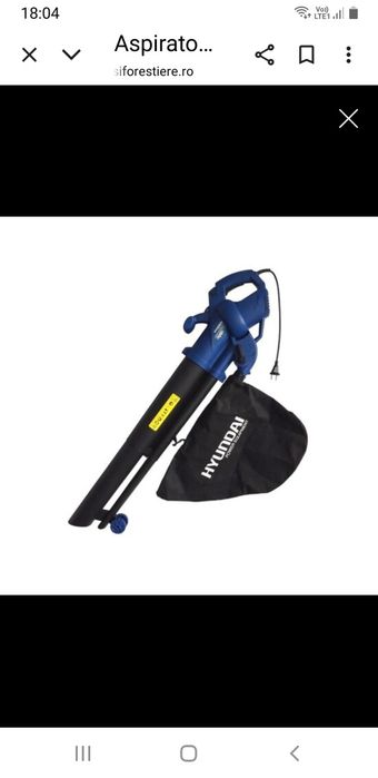 Suflanta-aspiranta-tocare frunze Hyundai 220v