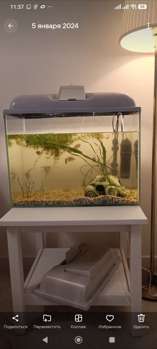 Аквариум 60 литров