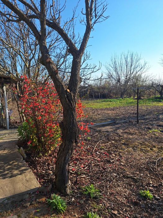 Продава се Къща в с. Навъсен, Област Хасково - 120 кв.м за 179 €/кв.м - Снимка #15