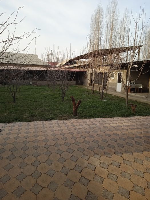 Продается дом в янгибазаре