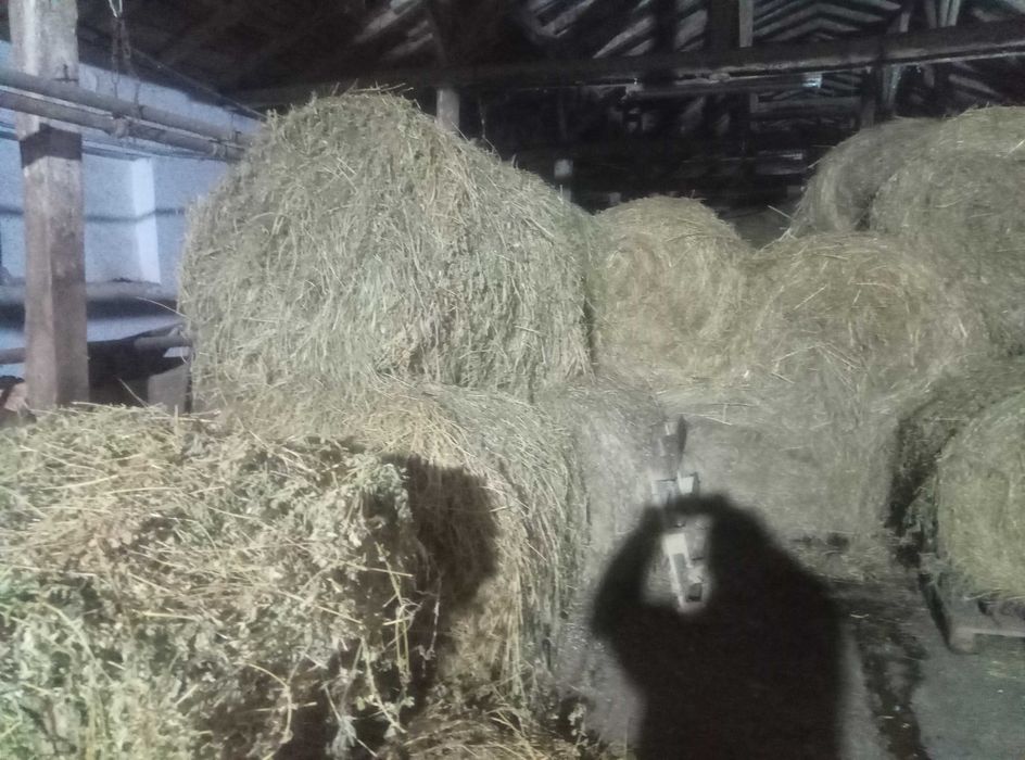 Продавам бали люцерна и слама