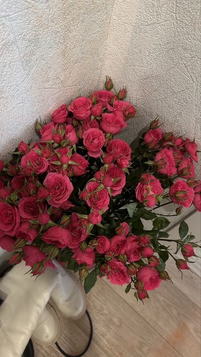 Цветы, кустовые розы