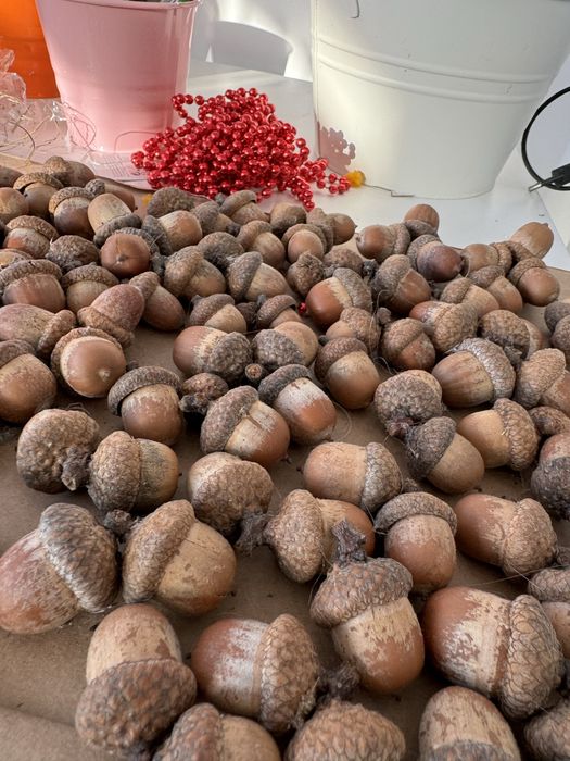 Ghinde ornamentale aranjamente craciun