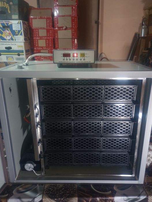 Clocitoare 300  ouă