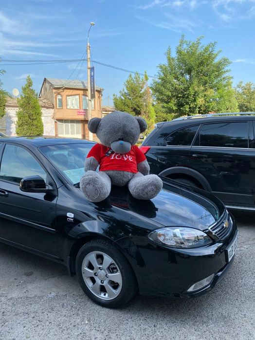 Teddiy teddi xitoy orginal yumshoq o'yinchoqlari