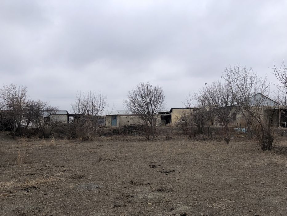 Xovlli sotiladi 25 sotiq